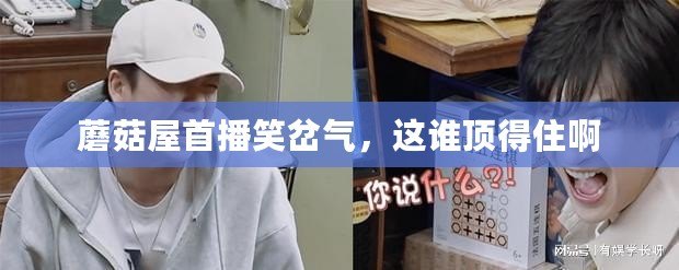 蘑菇屋首播笑岔氣,這誰(shuí)頂?shù)米“? title=
