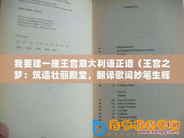我要建一座王宮意大利語(yǔ)正譜（王宮之夢(mèng)：筑造壯麗殿堂，翻譯歌詞妙筆生輝！）