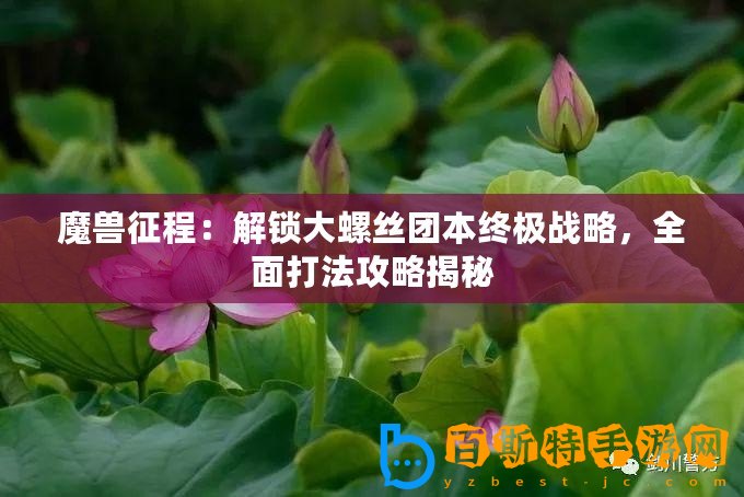 魔獸征程：解鎖大螺絲團本終極戰(zhàn)略，全面打法攻略揭秘