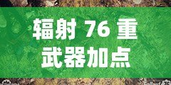 輻射 76 重武器加點(diǎn)與裝備選擇攻略