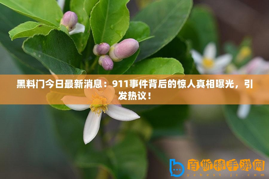 黑料門今日最新消息：911事件背后的驚人真相曝光，引發熱議！