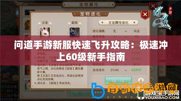 問(wèn)道手游新服快速飛升攻略：極速?zèng)_上60級(jí)新手指南