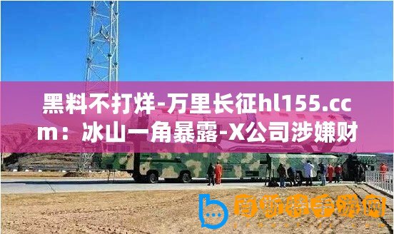 黑料不打烊-萬里長(zhǎng)征hl155.ccm：冰山一角暴露-X公司涉嫌財(cái)務(wù)造假