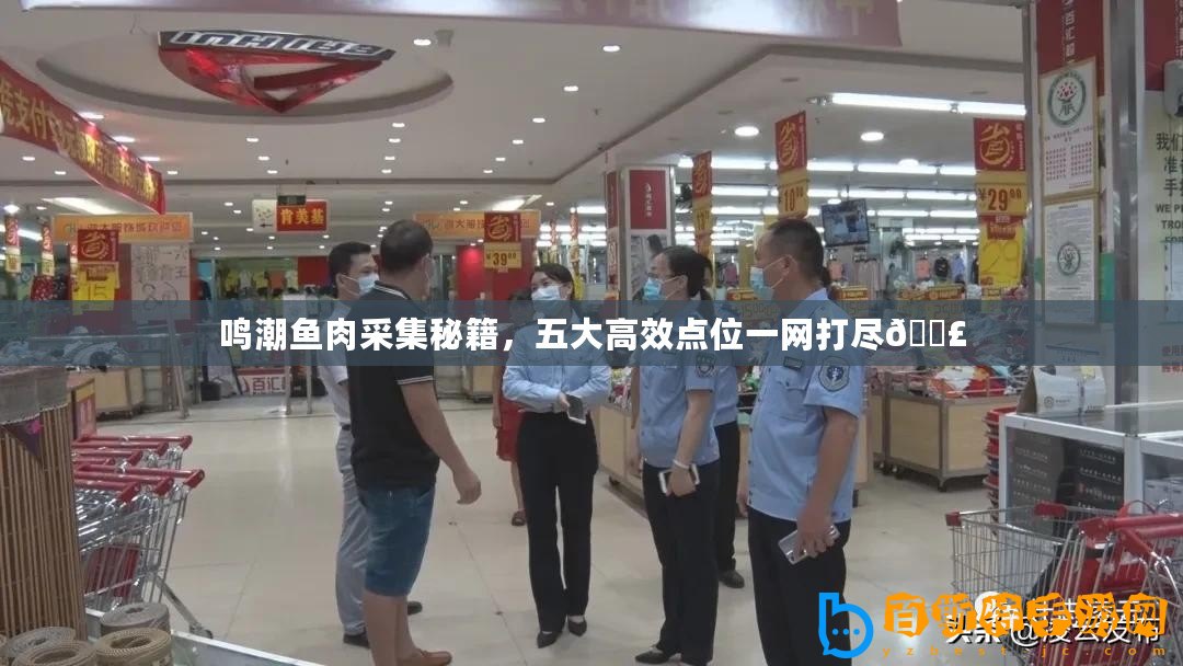 鳴潮魚肉采集秘籍，五大高效點位一網打盡??