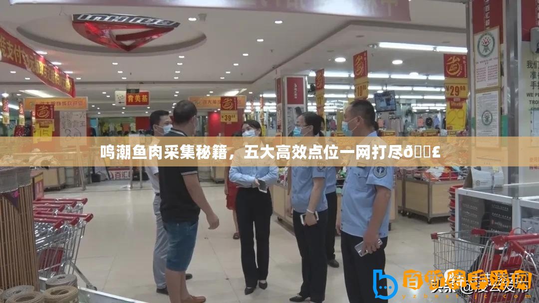 鳴潮魚肉采集秘籍，五大高效點位一網打盡??