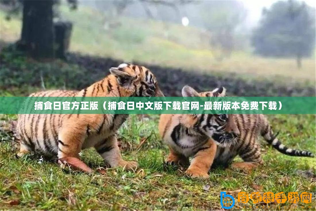 捕食日官方正版（捕食日中文版下載官網(wǎng)-最新版本免費下載）