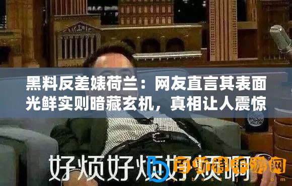黑料反差婊荷蘭：網(wǎng)友直言其表面光鮮實(shí)則暗藏玄機(jī)，真相讓人震驚！