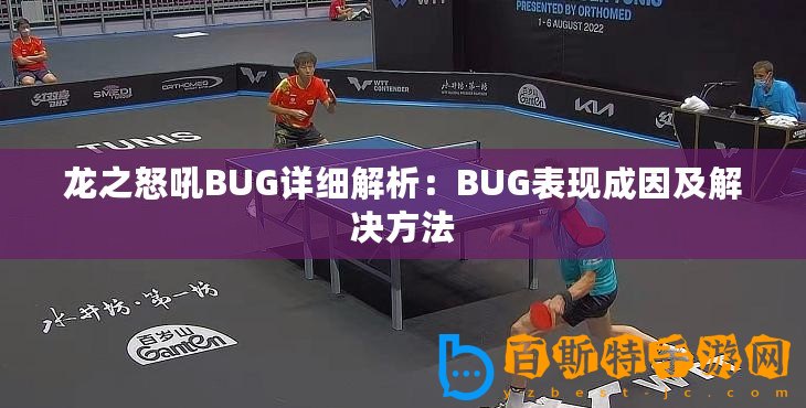 龍之怒吼B(yǎng)UG詳細(xì)解析：BUG表現(xiàn)成因及解決方法